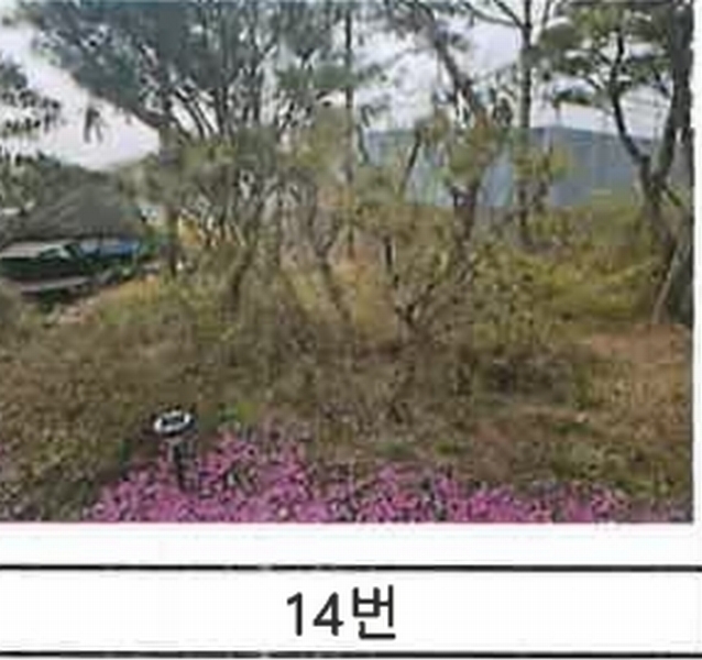 2023타경52576 경기도 용인시 처인구 원삼면 독성리 625 근린주택 경매 이미지