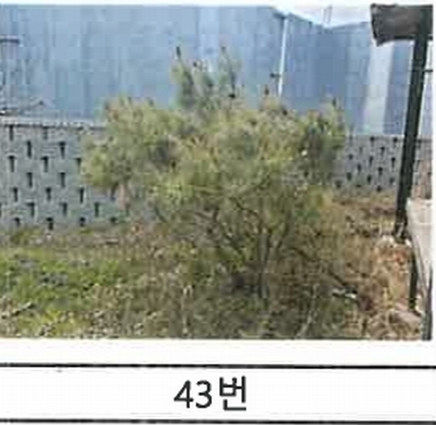 2023타경52576 경기도 용인시 처인구 원삼면 독성리 625 근린주택 경매 이미지