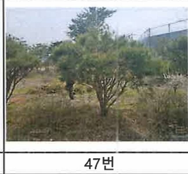 2023타경52576 경기도 용인시 처인구 원삼면 독성리 625 근린주택 경매 이미지