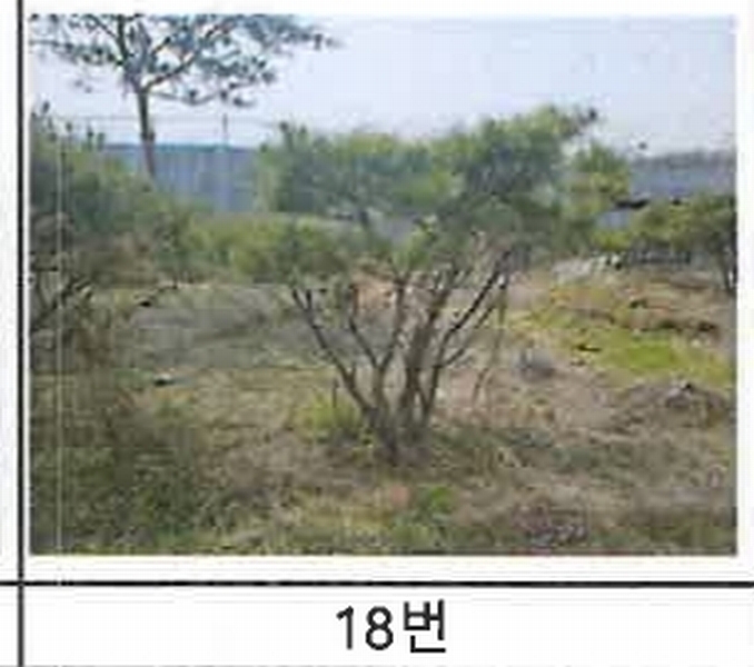 2023타경52576 경기도 용인시 처인구 원삼면 독성리 625 근린주택 경매 이미지
