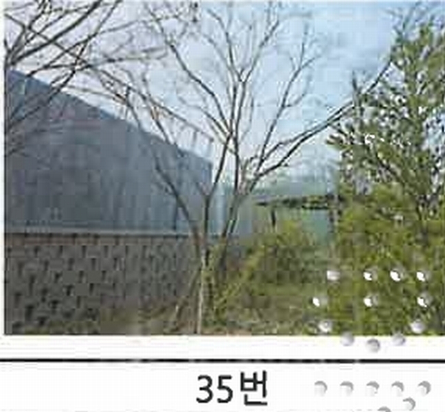 2023타경52576 경기도 용인시 처인구 원삼면 독성리 625 근린주택 경매 이미지