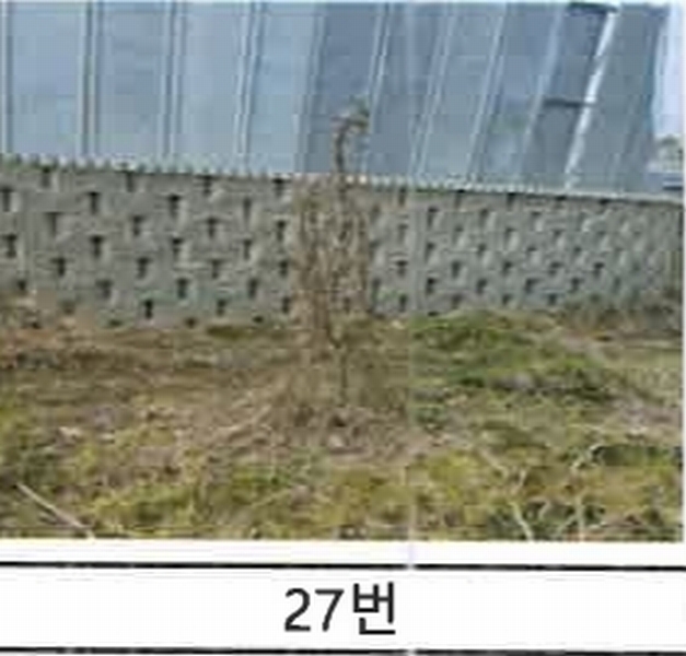 2023타경52576 경기도 용인시 처인구 원삼면 독성리 625 근린주택 경매 이미지