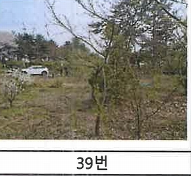 2023타경52576 경기도 용인시 처인구 원삼면 독성리 625 근린주택 경매 이미지