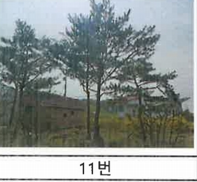 2023타경52576 경기도 용인시 처인구 원삼면 독성리 625 근린주택 경매 이미지