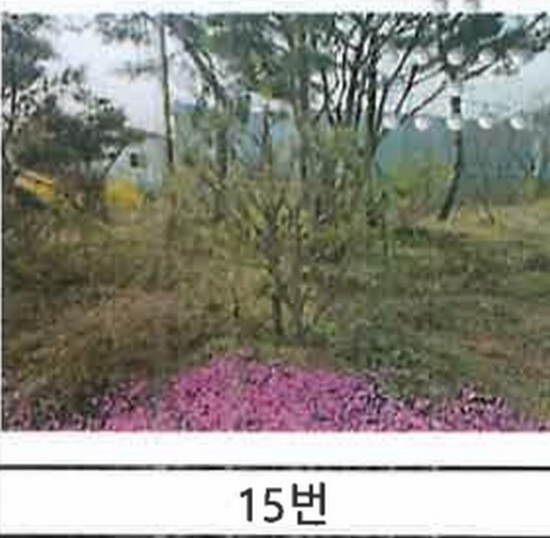 2023타경52576 경기도 용인시 처인구 원삼면 독성리 625 근린주택 경매 이미지