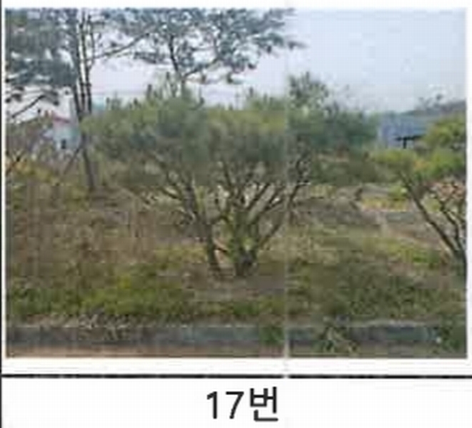 2023타경52576 경기도 용인시 처인구 원삼면 독성리 625 근린주택 경매 이미지