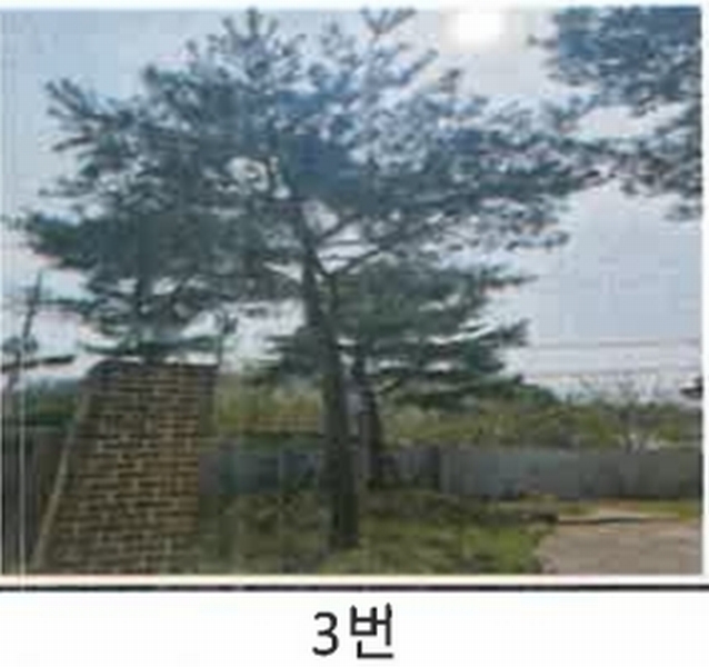 2023타경52576 경기도 용인시 처인구 원삼면 독성리 625 근린주택 경매 이미지