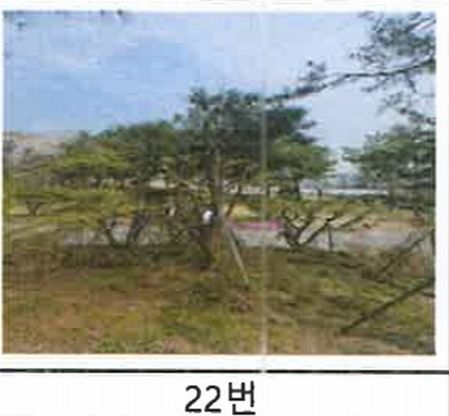 2023타경52576 경기도 용인시 처인구 원삼면 독성리 625 근린주택 경매 이미지