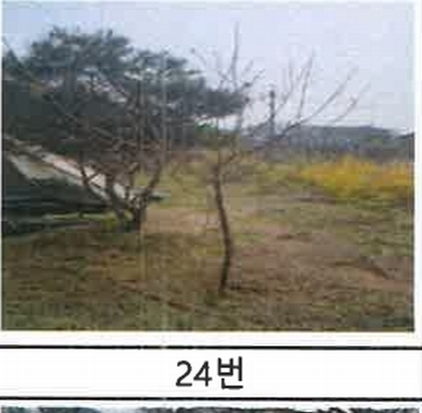 2023타경52576 경기도 용인시 처인구 원삼면 독성리 625 근린주택 경매 이미지