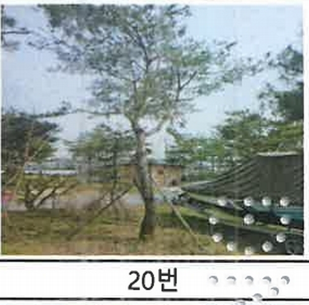 2023타경52576 경기도 용인시 처인구 원삼면 독성리 625 근린주택 경매 이미지