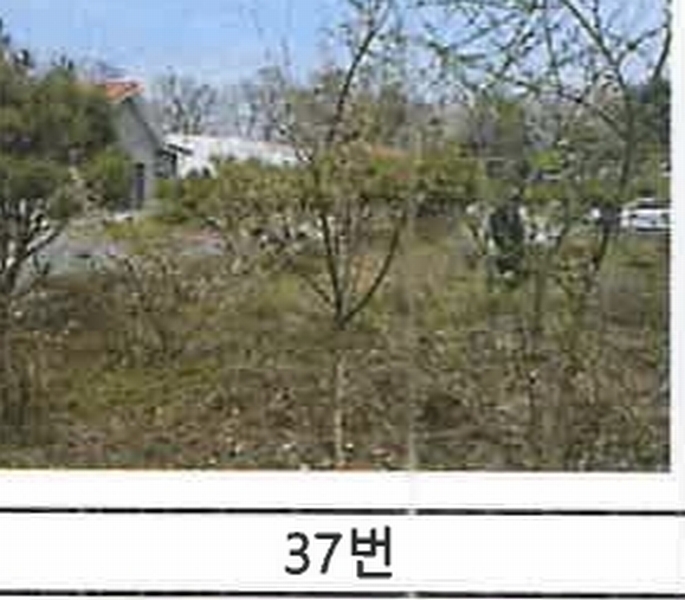 2023타경52576 경기도 용인시 처인구 원삼면 독성리 625 근린주택 경매 이미지