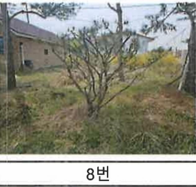 2023타경52576 경기도 용인시 처인구 원삼면 독성리 625 근린주택 경매 이미지