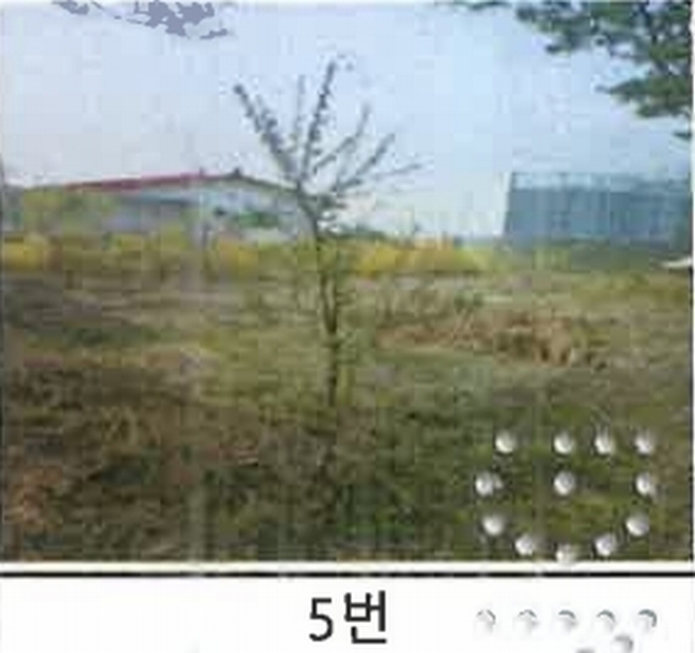2023타경52576 경기도 용인시 처인구 원삼면 독성리 625 근린주택 경매 이미지