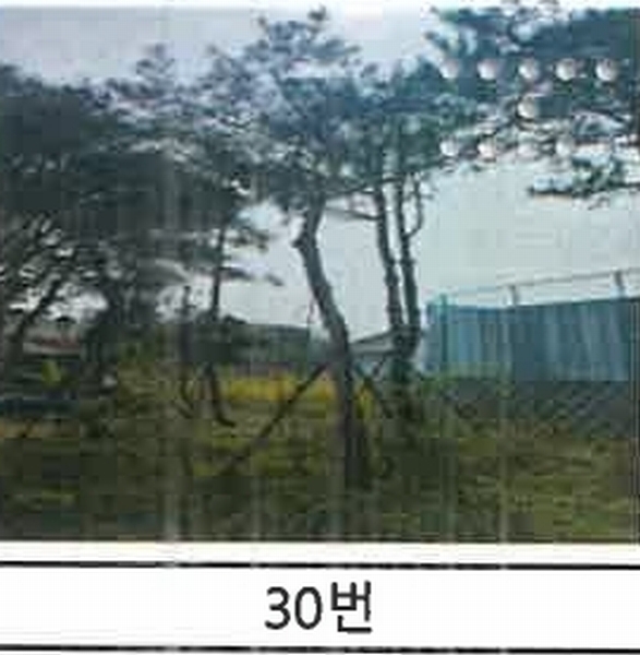 2023타경52576 경기도 용인시 처인구 원삼면 독성리 625 근린주택 경매 이미지