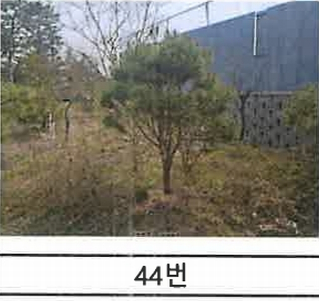 2023타경52576 경기도 용인시 처인구 원삼면 독성리 625 근린주택 경매 이미지