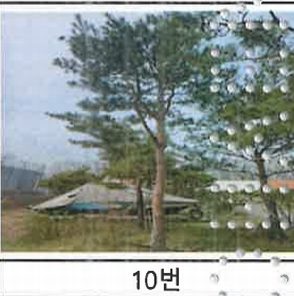 2023타경52576 경기도 용인시 처인구 원삼면 독성리 625 근린주택 경매 이미지