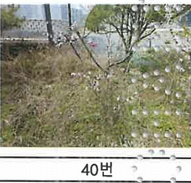 2023타경52576 경기도 용인시 처인구 원삼면 독성리 625 근린주택 경매 이미지