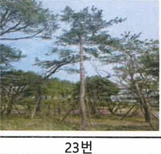 2023타경52576 경기도 용인시 처인구 원삼면 독성리 625 근린주택 경매 이미지