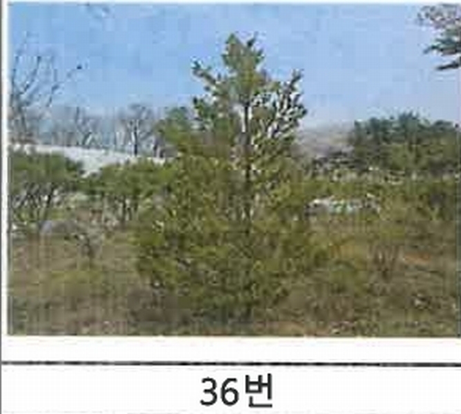 2023타경52576 경기도 용인시 처인구 원삼면 독성리 625 근린주택 경매 이미지