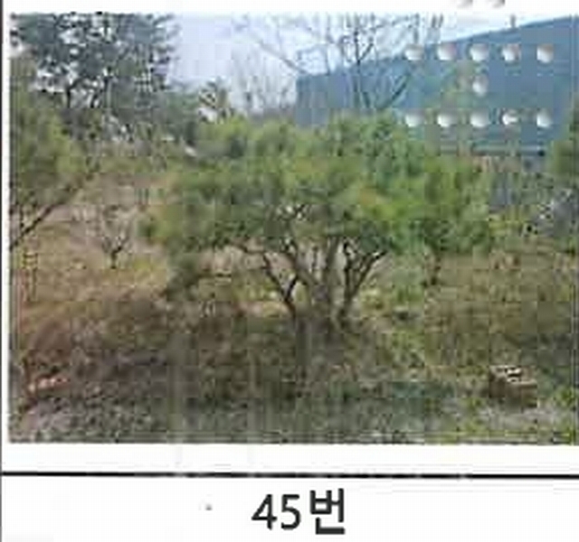 2023타경52576 경기도 용인시 처인구 원삼면 독성리 625 근린주택 경매 이미지