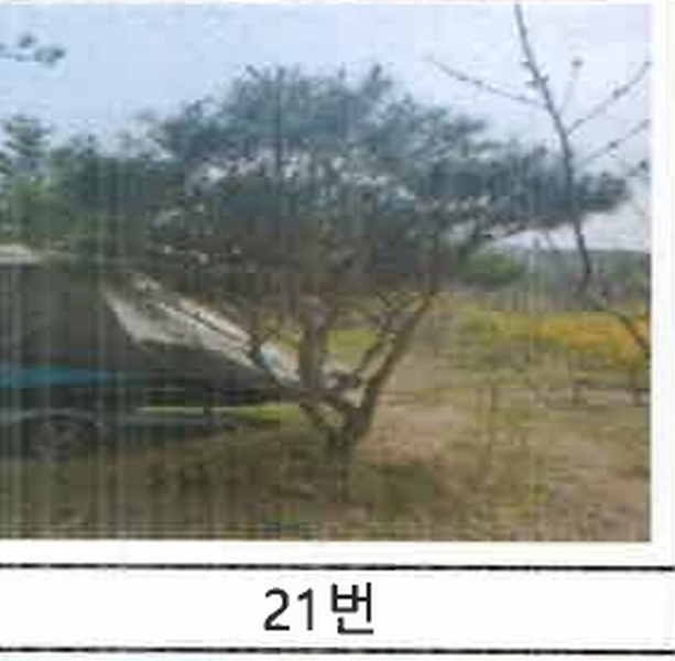 2023타경52576 경기도 용인시 처인구 원삼면 독성리 625 근린주택 경매 이미지