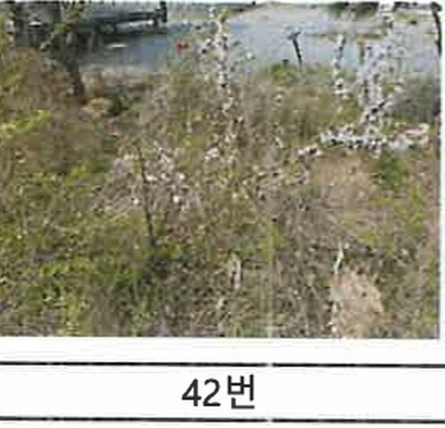 2023타경52576 경기도 용인시 처인구 원삼면 독성리 625 근린주택 경매 이미지