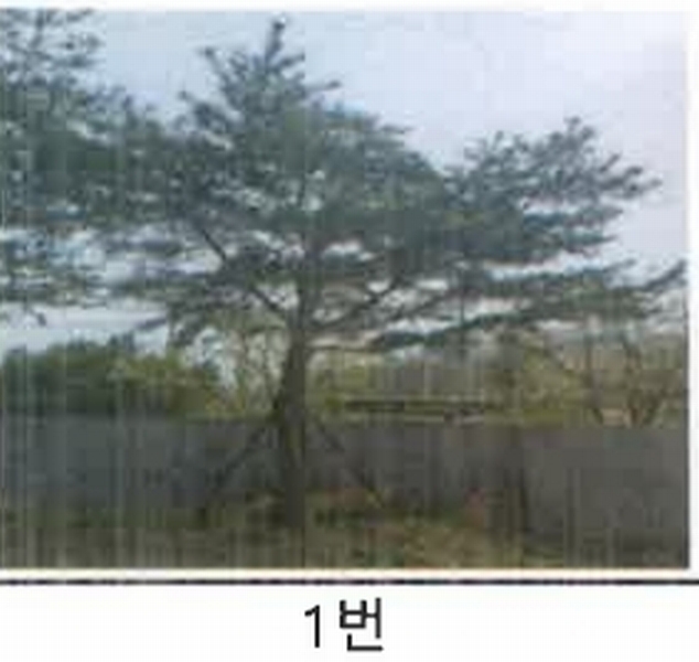 2023타경52576 경기도 용인시 처인구 원삼면 독성리 625 근린주택 경매 이미지