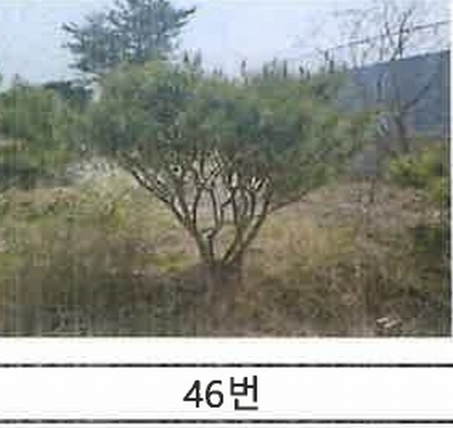 2023타경52576 경기도 용인시 처인구 원삼면 독성리 625 근린주택 경매 이미지