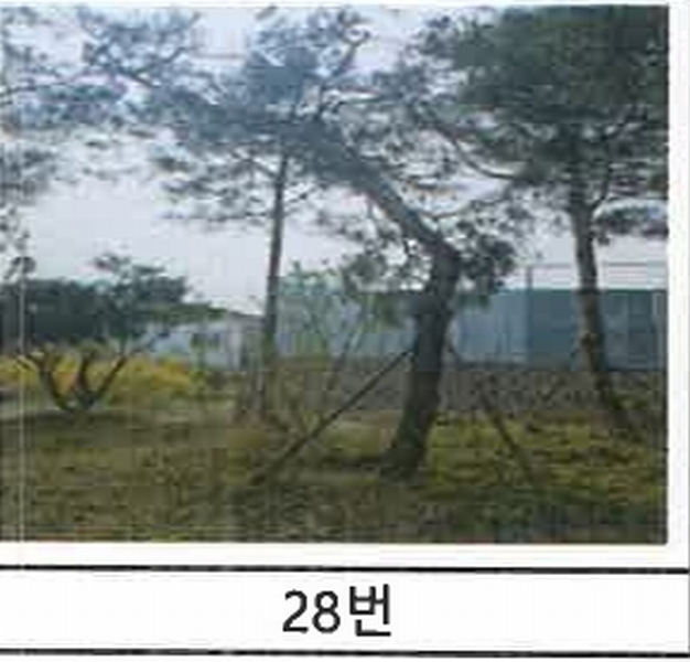 2023타경52576 경기도 용인시 처인구 원삼면 독성리 625 근린주택 경매 이미지