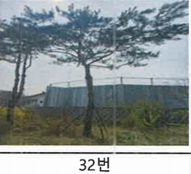 2023타경52576 경기도 용인시 처인구 원삼면 독성리 625 근린주택 경매 이미지