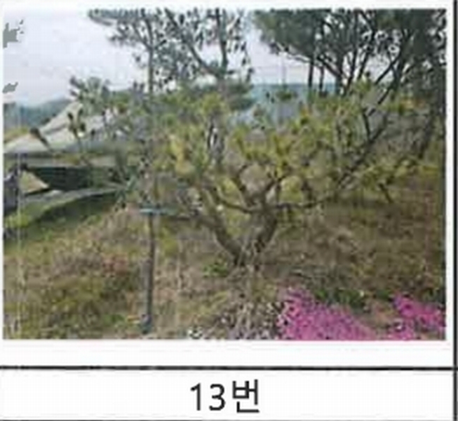 2023타경52576 경기도 용인시 처인구 원삼면 독성리 625 근린주택 경매 이미지