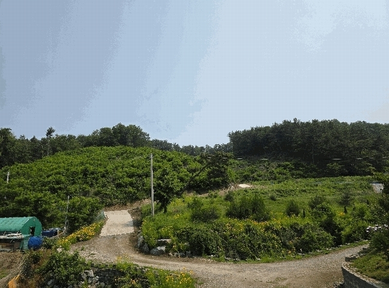 2025타경51259 충청북도 청주시 서원구 현도면 우록리 산30 임야 경매 이미지