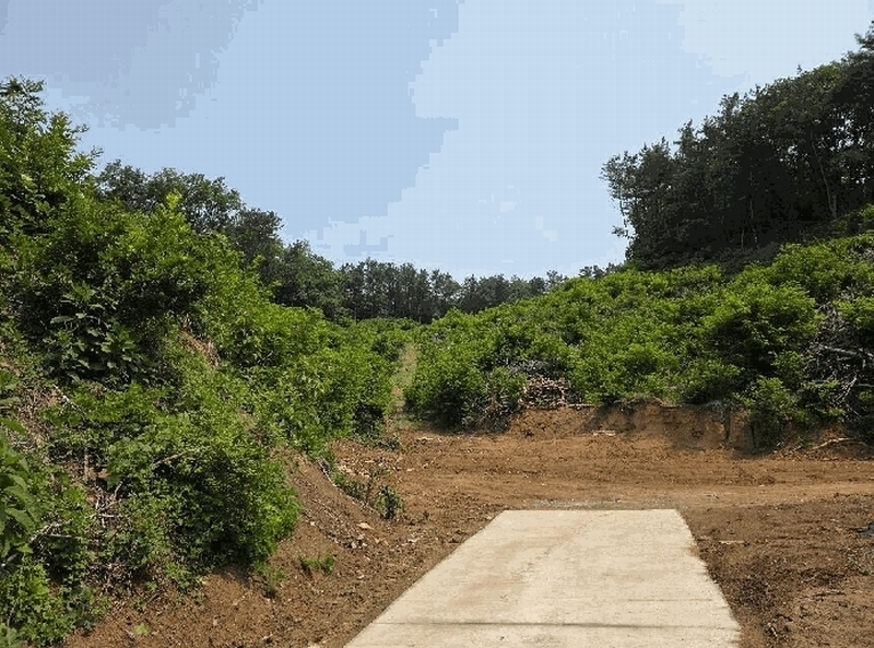 2025타경51259 충청북도 청주시 서원구 현도면 우록리 산30 임야 경매 이미지