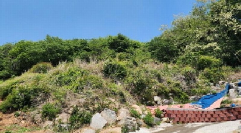 2025타경1065 울산광역시 울주군 웅촌면 은현리 193-54 임야 경매 이미지