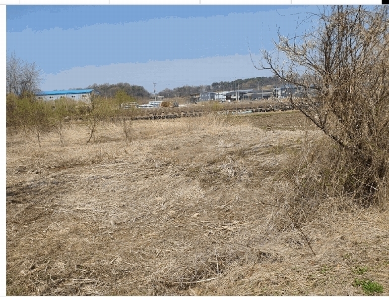 2025타경55269 경기도 화성시 장안면 어은리 622-16 농지 경매 이미지