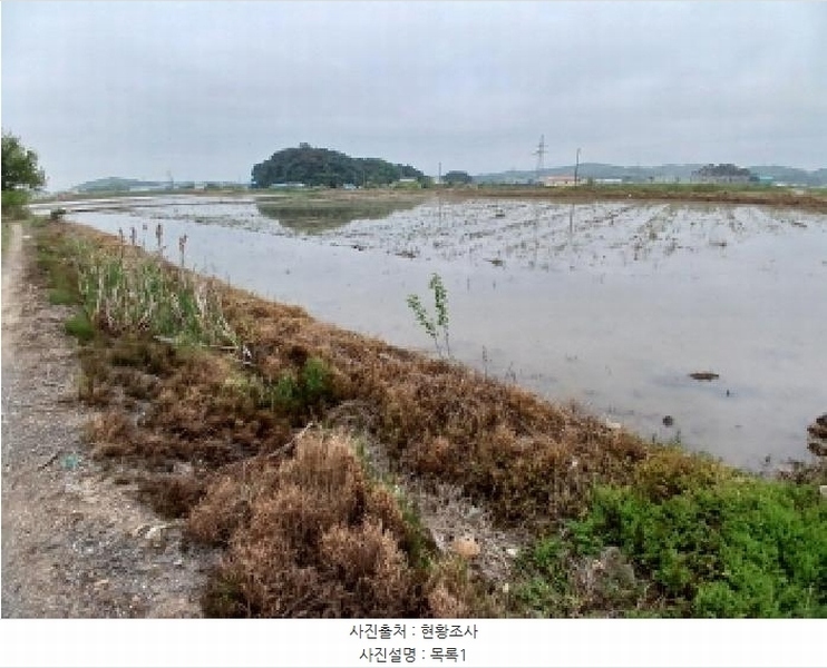 2025타경51310 충청남도 당진시 고대면 슬항리 152-21 농지 경매 이미지