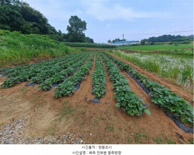 2025타경51408 충청남도 당진시 송악읍 석포리 산58-7 임야 경매 이미지