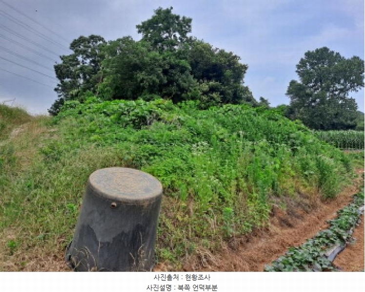 2025타경51408 충청남도 당진시 송악읍 석포리 산58-7 임야 경매 이미지