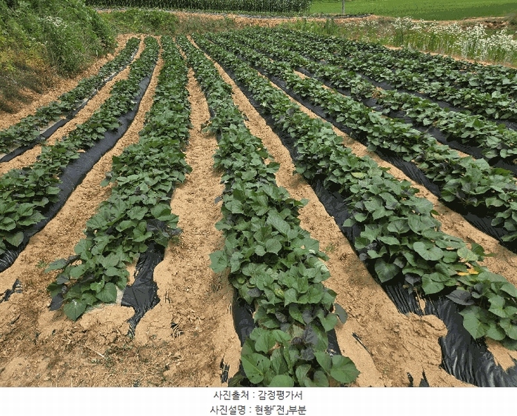 2025타경51408 충청남도 당진시 송악읍 석포리 산58-7 임야 경매 이미지