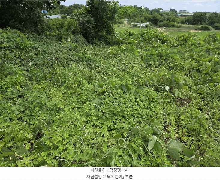 2025타경51408 충청남도 당진시 송악읍 석포리 산58-7 임야 경매 이미지