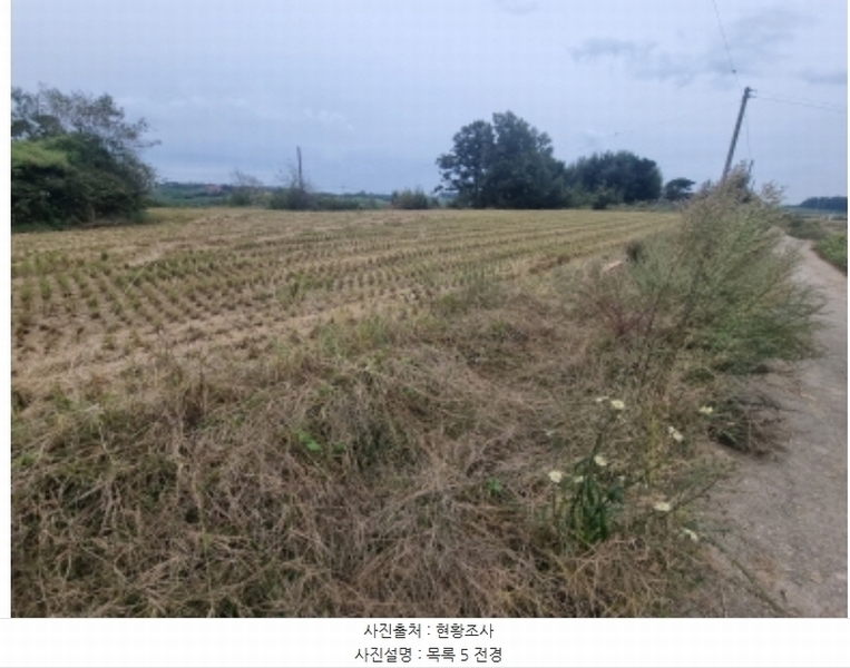 2024타경87371 경기도 화성시 우정읍 원안리 802 농지 경매 이미지