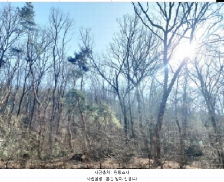 2024타경103433 경기도 용인시 기흥구 영덕동 산139-3 임야 경매 이미지