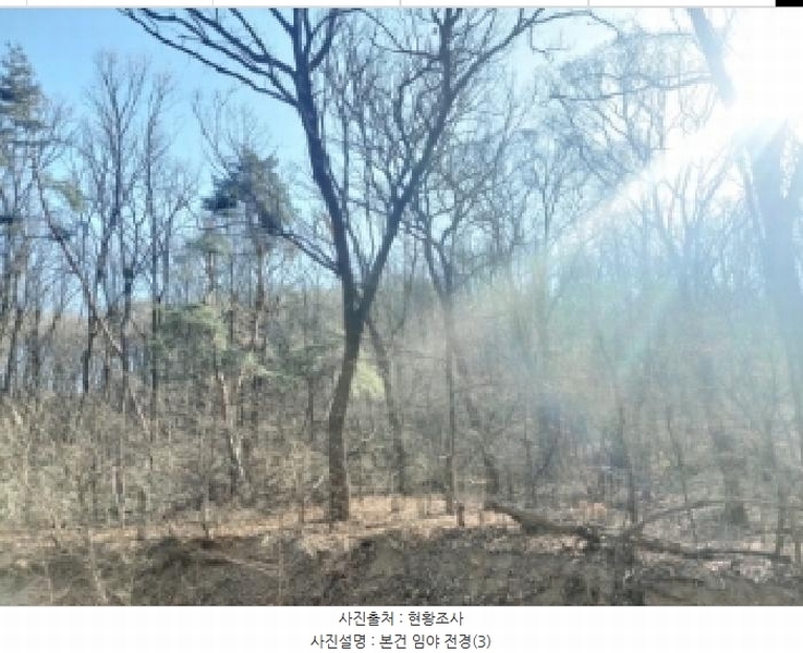 2024타경103433 경기도 용인시 기흥구 영덕동 산139-3 임야 경매 이미지