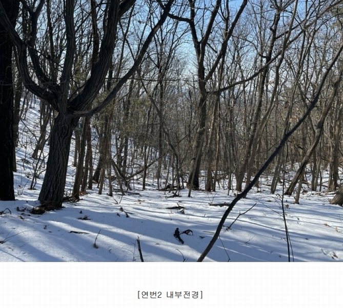 2024타경103433 경기도 용인시 기흥구 영덕동 산139-3 임야 경매 이미지