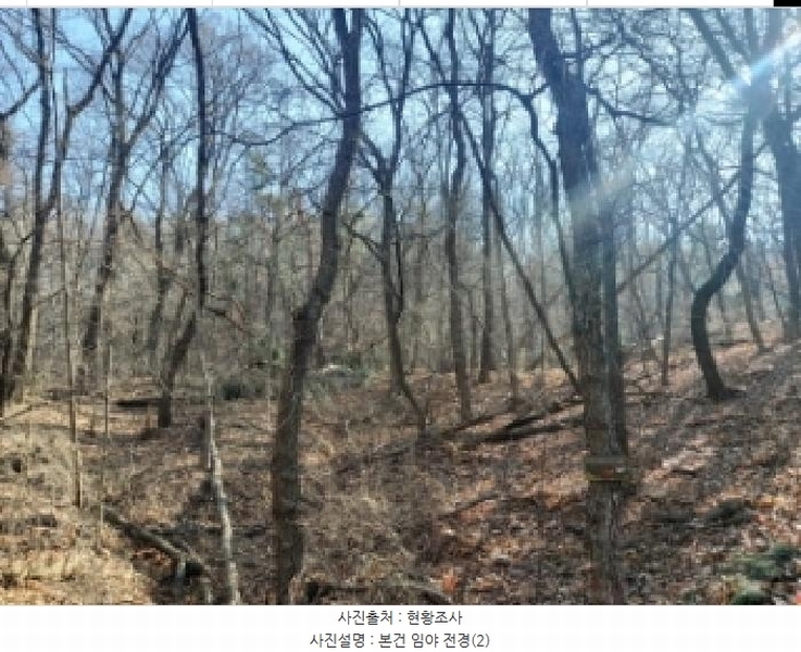 2024타경103433 경기도 용인시 기흥구 영덕동 산139-3 임야 경매 이미지