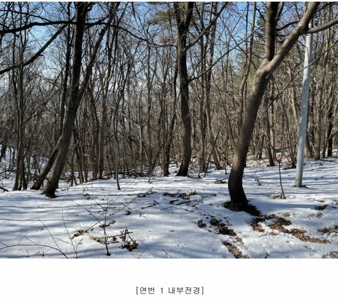 2024타경103433 경기도 용인시 기흥구 영덕동 산139-3 임야 경매 이미지