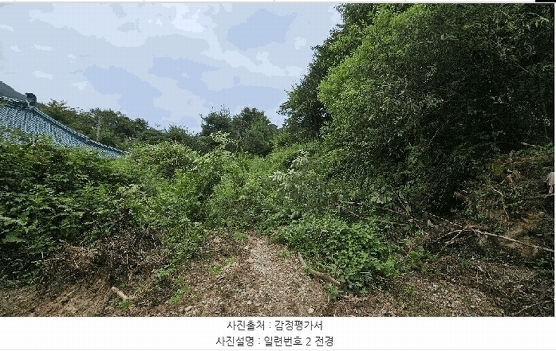2025타경51614 충청북도 괴산군 청안면 운곡리 산29-2 임야 경매 이미지