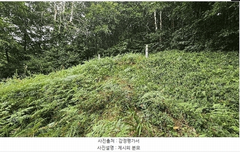 2025타경51614 충청북도 괴산군 청안면 운곡리 산29-2 임야 경매 이미지