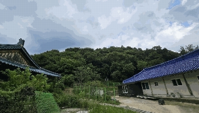 2025타경51614 충청북도 괴산군 청안면 운곡리 산29-2 임야 경매 이미지