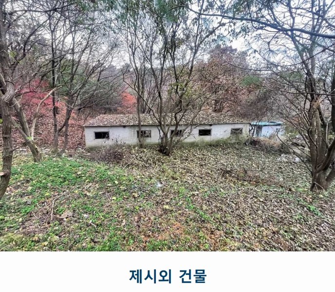 2024타경97095 경기도 용인시 처인구 백암면 박곡리 621-10 임야 경매 이미지
